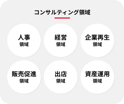 コンサルタント領域：人事、経営、企業再生、販売促進、出店、資産運用