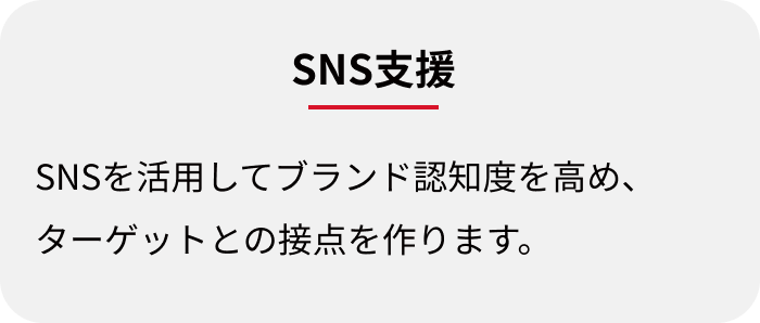 SNS支援:SNSを活用してブランド認知度を高め、ターゲットとの接点を作ります。