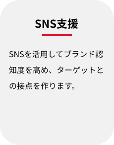 SNS支援:SNSを活用してブランド認知度を高め、ターゲットとの接点を作ります。